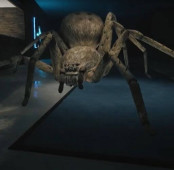 Huntsman