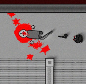 Madness Sierra Nevada