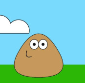 Pou