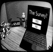 THE SURVEY